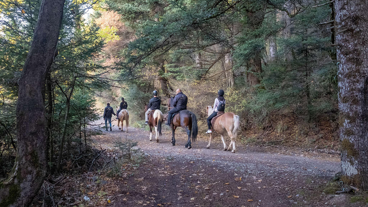 Vytina Horse Club - Ιππασία και Βόλτες με τα άλογα στην ύπαιθρο